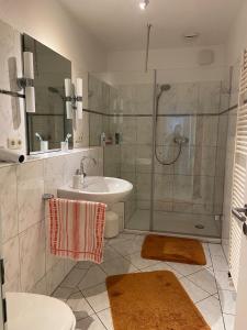 a bathroom with a shower and a sink and a toilet at Ferienhaus direkt an der Luhe in Winsen