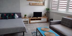 Televízia a/alebo spoločenská miestnosť v ubytovaní Apartament 27
