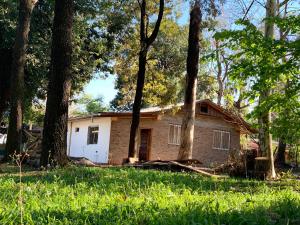 a small house in the woods with trees at Cabañas CheRu 5 in Posadas