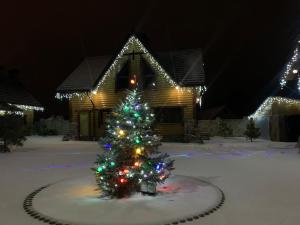 Un albero di Natale nella neve davanti a una casa di Rodynne Gnizdo a Počaïv