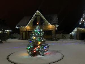 ポカイユにあるRodynne Gnizdoの雪の中のクリスマスツリー