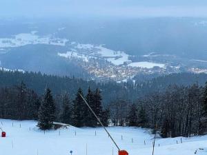 Το Place Royale pour 10 à 12 personnes à 30 mèt des pistes de Ski et Vtt τον χειμώνα