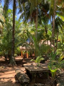 a wooden bench in front of some palm trees at ENSUEÑOS NATURAL RESERVE Little Corn Island Nicaragua in Little Corn Island