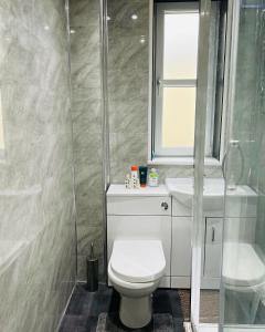 een badkamer met een toilet, een douche en een wastafel bij SIMPLE 2BED FLAT IN EDINBURGH. in Edinburgh