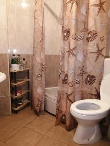 uma casa de banho com um WC e uma cortina de chuveiro em Apartment NAUM M em Ohrid
