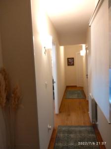 um corredor com tapetes nos pisos de uma casa em KIKU Apartments II em Bermeo