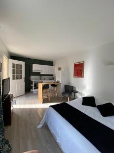 ein Schlafzimmer mit einem Bett und einem Schreibtisch in einem Zimmer in der Unterkunft Studio climatisé dans un ancien domaine viticole in Montpellier