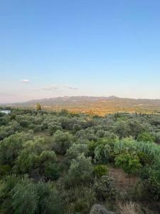 Príroda v okolí apartmánu