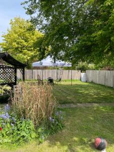 a yard with a fence and a tree and a grill at Hollybush Guest House in Oxford