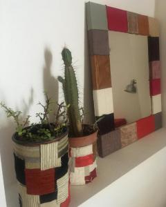 a cactus in a pot next to a mirror at House il Conte in Palermo