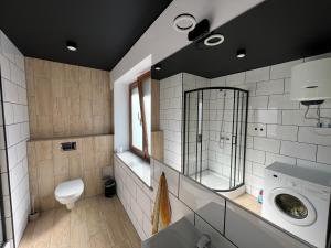 ein Badezimmer mit einem WC, einem Waschbecken und einem Spiegel in der Unterkunft Apartament w centrum Świdnicy in Świdnica