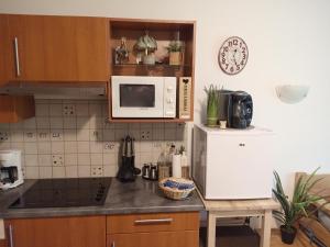 a kitchen with a counter with a microwave and a refrigerator at Le Roi du Sundgau près de la Horse - Mooslargue in Mooslargue