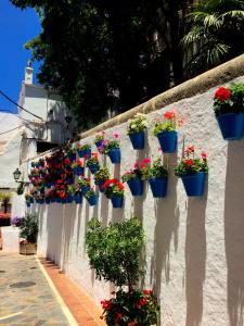 A garden outside Brand new in the best location in Marbella