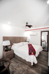 Fotografie z fotogalerie ubytování Hotel Paradise Suites v destinaci Isla Mujeres