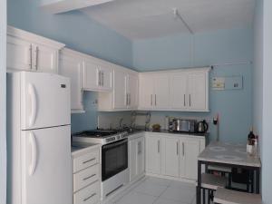 Kuchyň nebo kuchyňský kout v ubytování Avocado Suites
