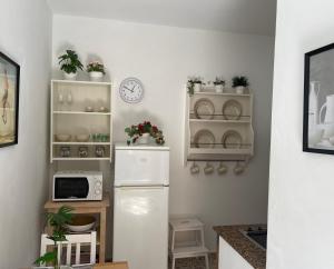 a kitchen with a refrigerator and shelves with plants at Vivienda Vacacional Juliana in Valle Gran Rey