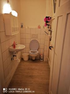 a small bathroom with a toilet and a sink at Rosen Garten Haus in Titisee-Neustadt