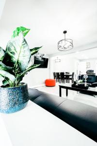 uma planta sentada em cima de um sofá numa sala de estar em The Ashland Manor em Niagara Falls