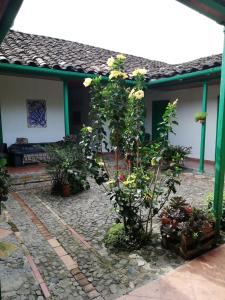 un jardin avec des fleurs et des plantes devant une maison dans l'établissement LUzArt, à Jardín