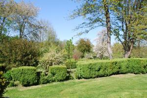 a row of hedges in a park with trees at Gites aux Fleurs de Cerises in Le Plessis-Luzarches