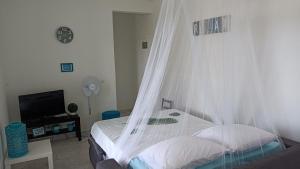 1 dormitorio con 1 cama con mosquitera en T2 jardin clos Les Nids de la Colline en Saint-François
