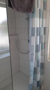 a shower with a hose in a bathroom at Lamm - Wohnung 1 in Spiegelberg