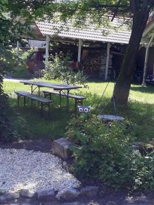 a picnic table and a swing under a tree at Lamm - Wohnung 1 in Spiegelberg