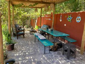 Fotografie z fotogalerie ubytování Casa campestre Valle del Elqui v destinaci Diaguita