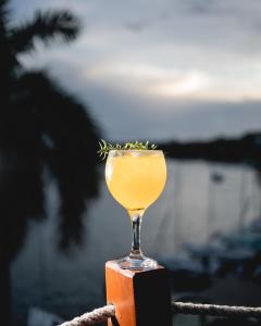 a drink in a glass sitting on top of a block at Casa Árabe in Bacalar