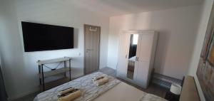 TV a/nebo společenská místnost v ubytování Apartments Ena