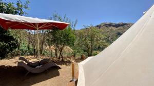 a white tent with a chair and an umbrella at The Orchard Retreat in Vega de San Mateo