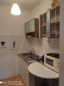 Kuchyň nebo kuchyňský kout v ubytování Studio Vinisce 8660d + 13 fotografií