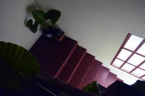 Fotografia z galérie ubytovania Apartments Nera v Záhrebe