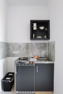 a kitchen with a stove and a sink at Engel Apartments Baden-Baden in Baden-Baden