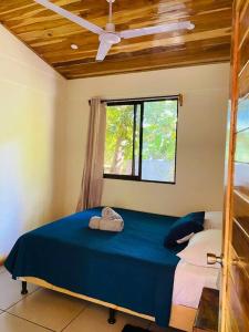 um quarto com uma cama azul e uma janela em Beautiful 2-bedroom home OR Studio Apartment OPTION in Santa Cruz em Santa Cruz