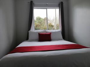 a bed with a red pillow in front of a window at Stanley Apartments in Hamilton