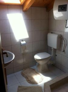 a bathroom with a white toilet and a sink at Holiday house with a parking space Lumbarda, Korcula - 15165 in Lumbarda
