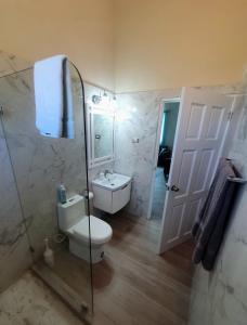 a bathroom with a toilet and a sink and a shower at Quiet Country Living in Saint George