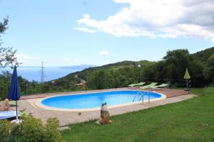 Veprinac的住宿－Family friendly apartments with a swimming pool Veprinac, Opatija - 14916，游泳池前的狗