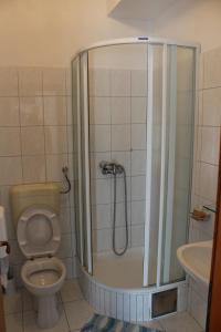 a bathroom with a shower with a toilet and a sink at Apartments and rooms with parking space Trilj, Zagora - 14609 in Trilj