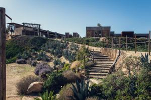 a set of stairs leading up a hill with plants at Estancias Sierravita in Valle de Guadalupe