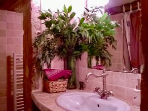 a bathroom with a sink and a mirror with plants at Les Allées de Bellecour in Lyon