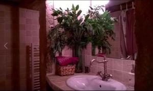 リヨンにあるLes Allées de Bellecourのバスルーム(シンク、鉢植えの植物付)