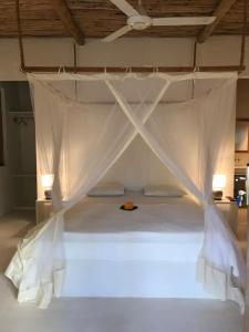 a bed with a white canopy in a room at Dive Planet Mafia Island in Utende +20 photos
