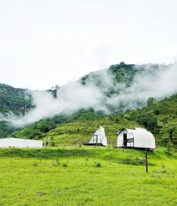 two white domes in a field in front of a mountain at The Tribe Agrotourism, Wai mahabaleshwar in Panchgani