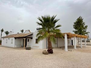 a white building with a palm tree in front of it at Casa rural La Alcaparra in Écija