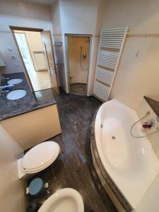 a bathroom with a toilet and a sink and a tub at Ferienwohnung Camping Goldrain in Coldrano