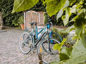 Una bicicleta azul estacionada en un camino de ladrillo en Ferienwohnung Storchennest, en Volkach