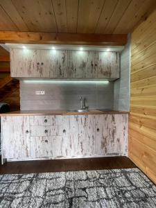 a bathroom with a sink and a wooden wall at Cosy cottage Andrej in Danilovgrad