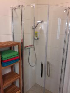 een badkamer met een douche en een glazen deur bij Blick aufs Goldene Dachl in Innsbruck